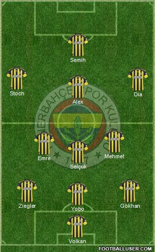 Fenerbahçe SK Formation 2011