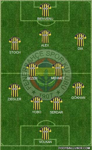 Fenerbahçe SK Formation 2011