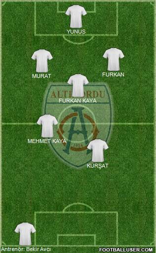Altinordu Formation 2011