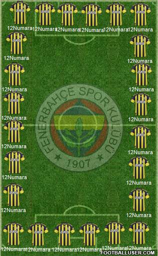 Fenerbahçe SK Formation 2011