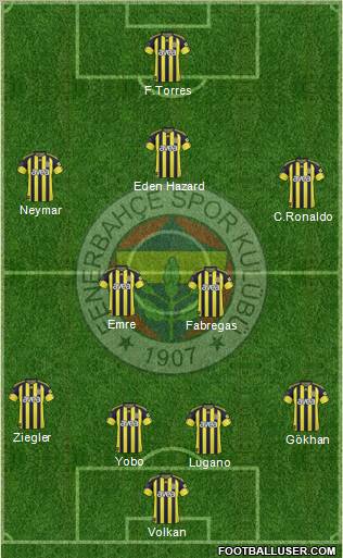 Fenerbahçe SK Formation 2011