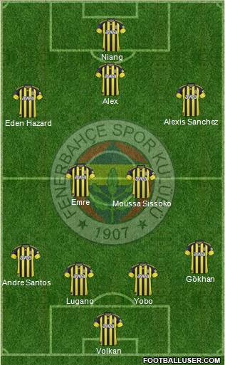Fenerbahçe SK Formation 2011