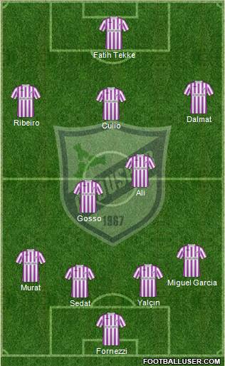 Orduspor Formation 2011