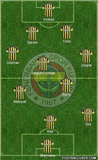Fenerbahçe SK Formation 2011