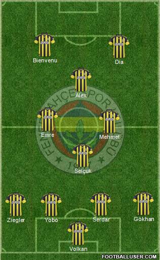 Fenerbahçe SK Formation 2011