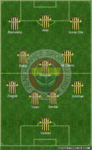 Fenerbahçe SK Formation 2011