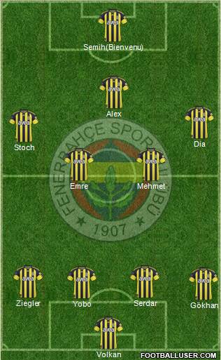 Fenerbahçe SK Formation 2011