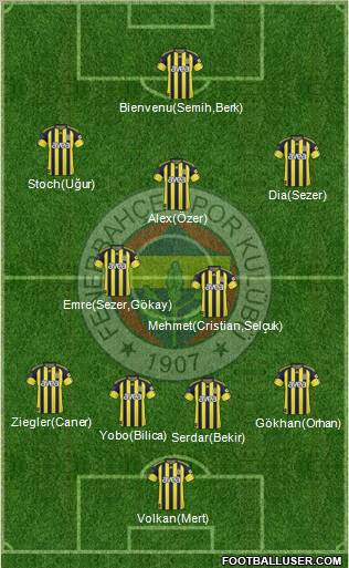 Fenerbahçe SK Formation 2011