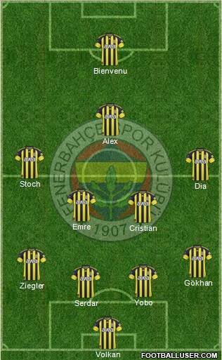 Fenerbahçe SK Formation 2011