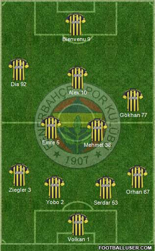 Fenerbahçe SK Formation 2011