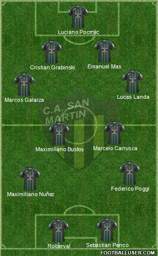 San Martín de San Juan Formation 2011