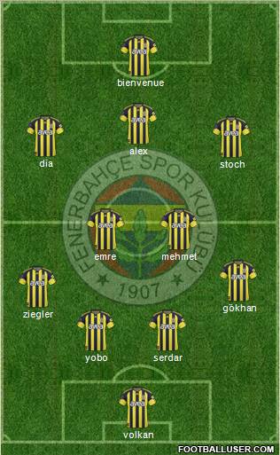 Fenerbahçe SK Formation 2011