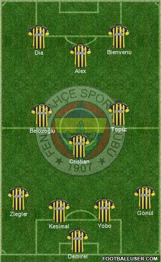 Fenerbahçe SK Formation 2011