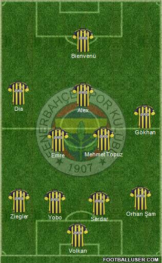 Fenerbahçe SK Formation 2011