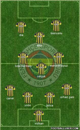 Fenerbahçe SK Formation 2011