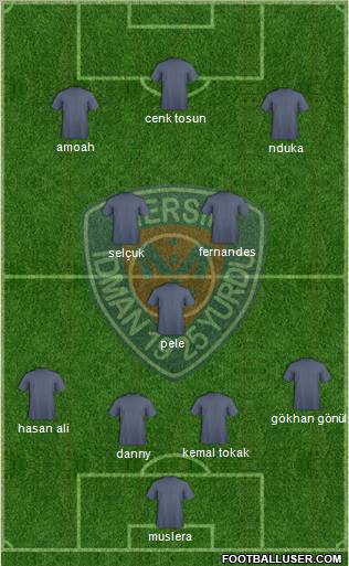 Mersin Idman Yurdu Formation 2011