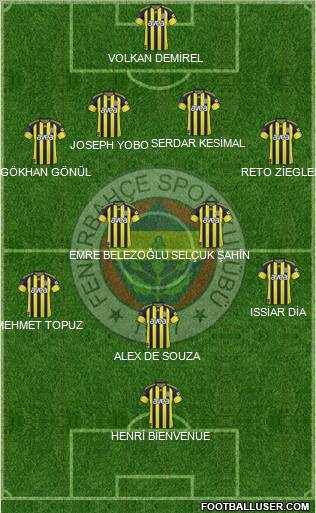 Fenerbahçe SK Formation 2011