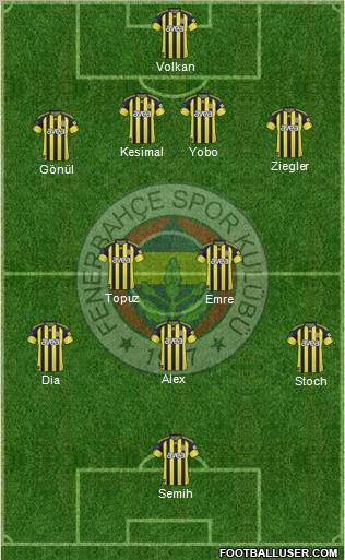 Fenerbahçe SK Formation 2011