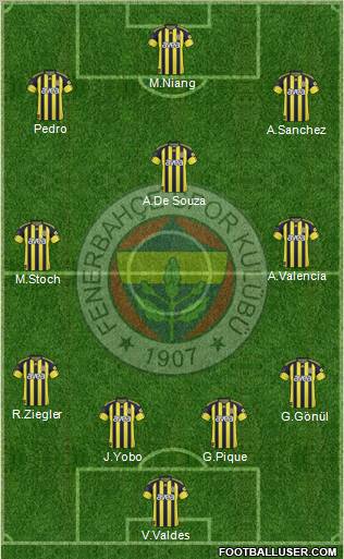 Fenerbahçe SK Formation 2011