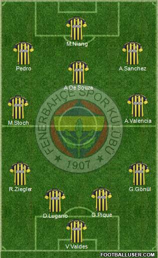 Fenerbahçe SK Formation 2011