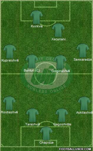 WIT-Georgia Tbilisi Formation 2011