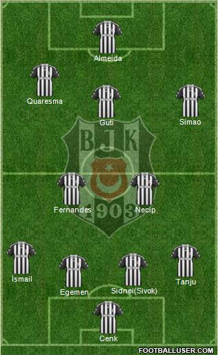 Besiktas JK Formation 2011