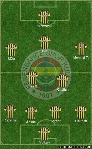 Fenerbahçe SK Formation 2011