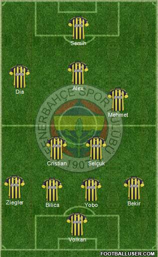 Fenerbahçe SK Formation 2011