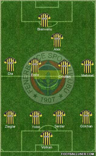 Fenerbahçe SK Formation 2011