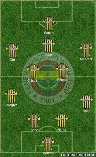 Fenerbahçe SK Formation 2011