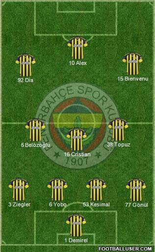 Fenerbahçe SK Formation 2011