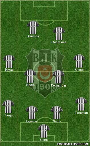 Besiktas JK Formation 2011
