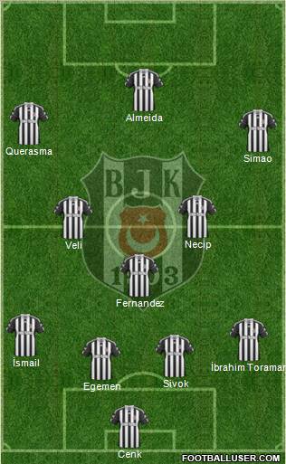 Besiktas JK Formation 2011