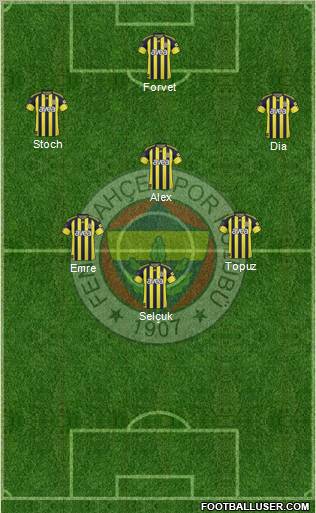 Fenerbahçe SK Formation 2011