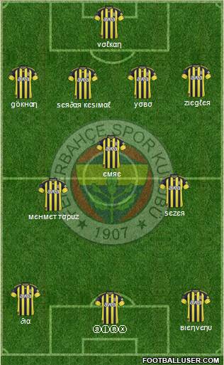 Fenerbahçe SK Formation 2011