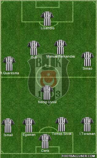 Besiktas JK Formation 2011