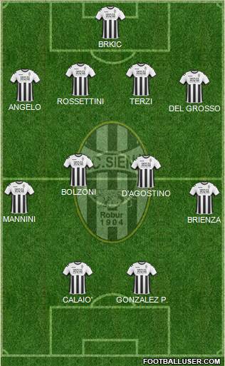 Siena Formation 2011