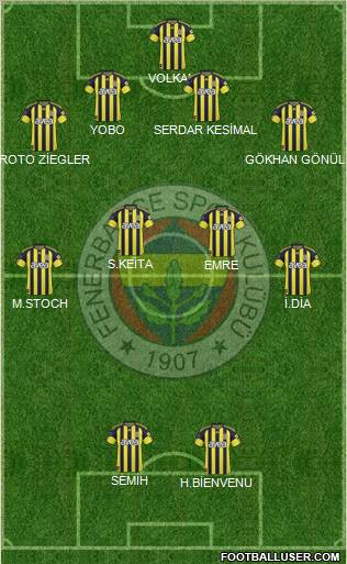 Fenerbahçe SK Formation 2011