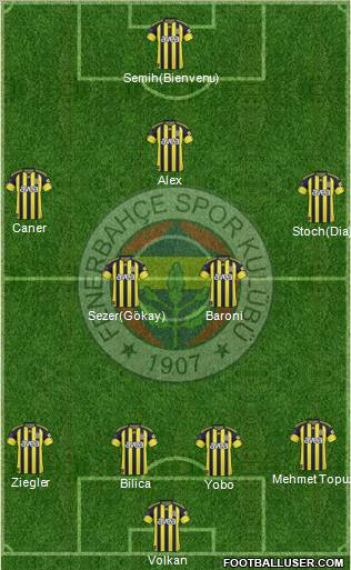Fenerbahçe SK Formation 2011