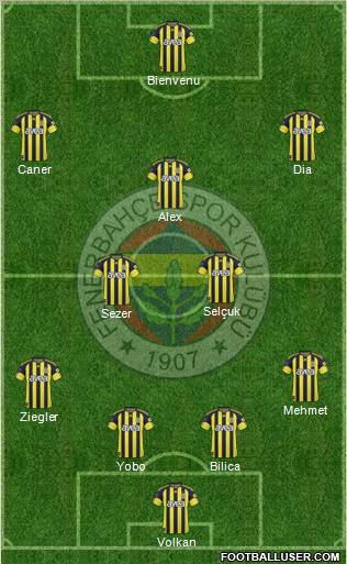 Fenerbahçe SK Formation 2011