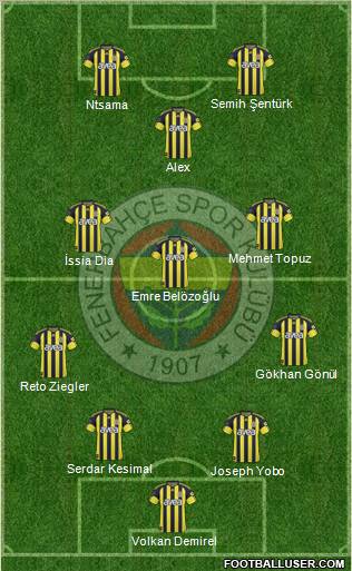 Fenerbahçe SK Formation 2011