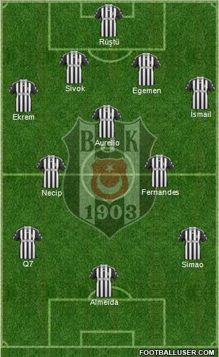 Besiktas JK Formation 2011