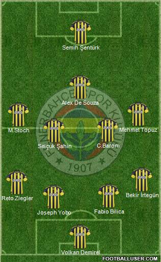 Fenerbahçe SK Formation 2011