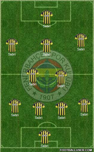Fenerbahçe SK Formation 2011