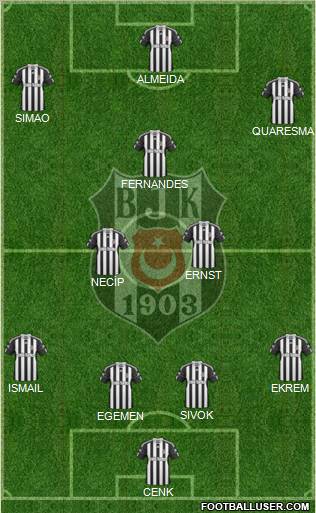 Besiktas JK Formation 2011