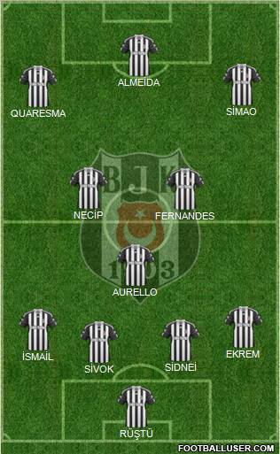 Besiktas JK Formation 2011