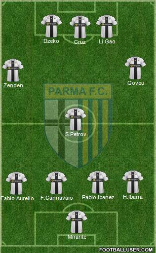 Parma Formation 2011