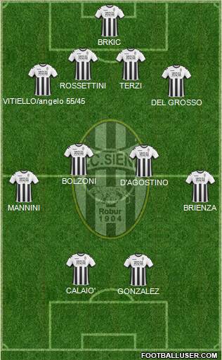 Siena Formation 2011
