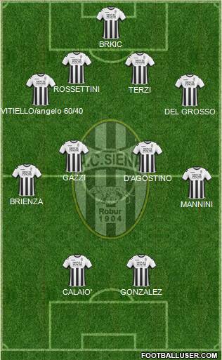 Siena Formation 2011