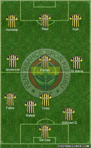 Fenerbahçe SK Formation 2011